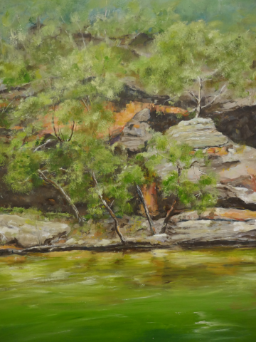 painting of bush rocks and waterway 