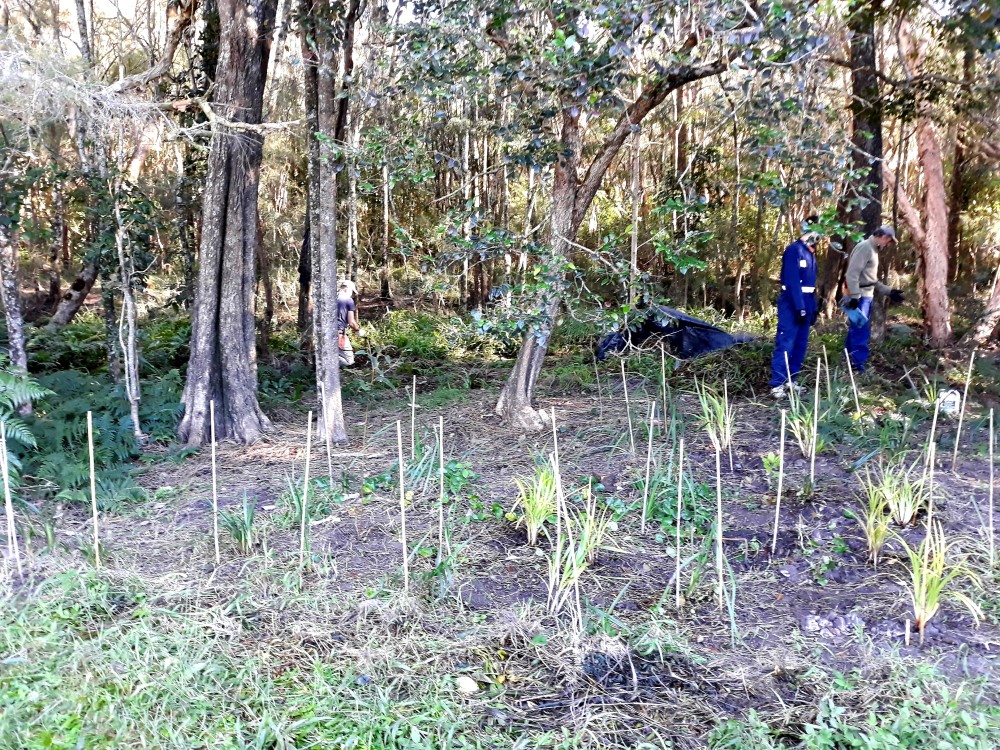 Malkana Reserve Bushcare 